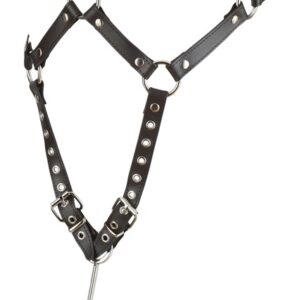 Harness aus Leder