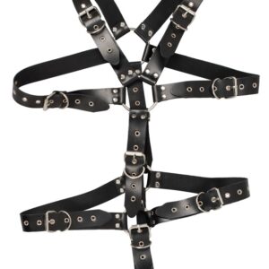 Harness aus Leder