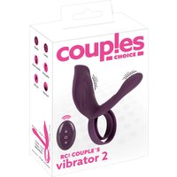 Couples Vibrator 2