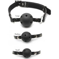 Ball Gag Training System