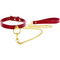 Taboom O-Ring Collar and Chain Leash